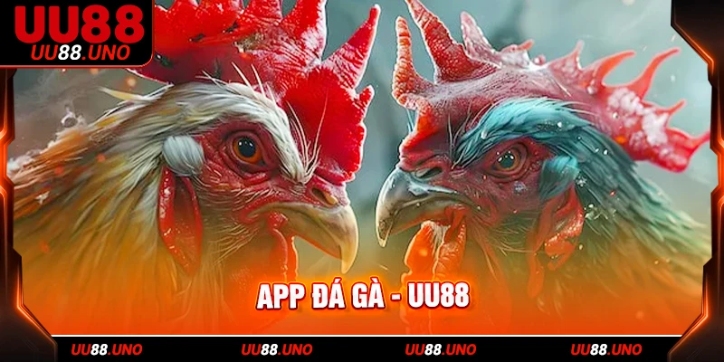 app đá gà